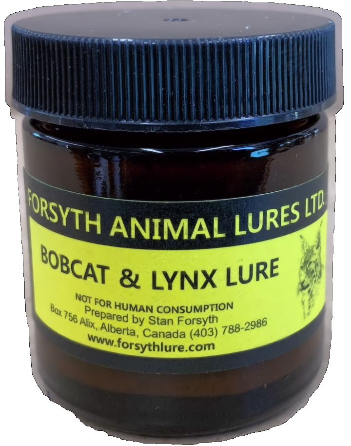 Forsyth Bobcat-Lynx Lure