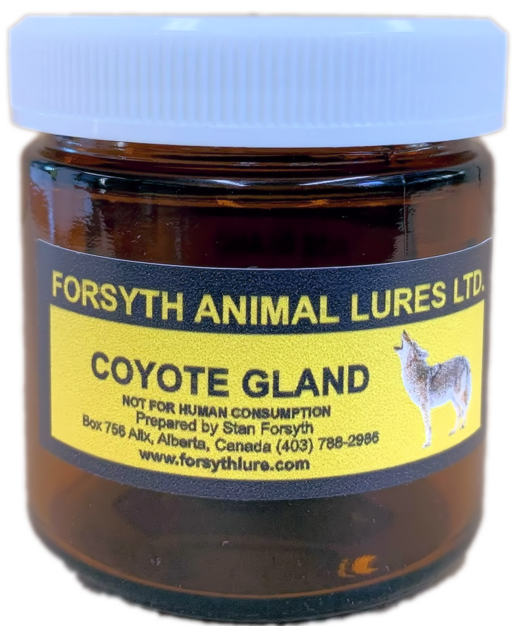 Forsyth Coyote Gland Lure