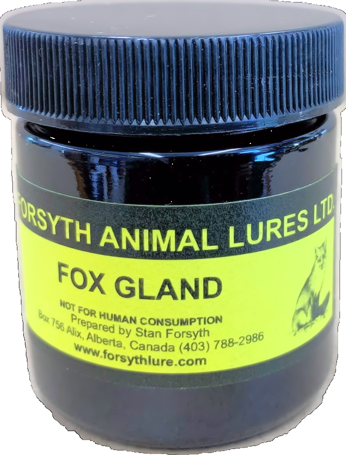 Forsyth Fox Gland Lure