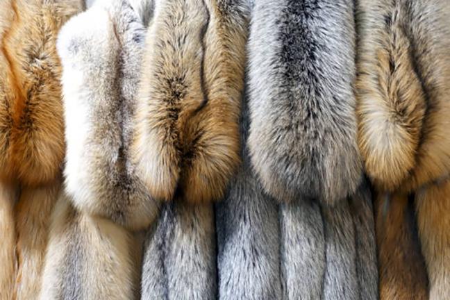 Hide and Leather Dye
