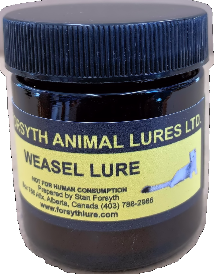 Forsyth Weasel Lure